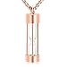 Oinsi Eternity Memory Hourglass Urn Necklace Cremation Jewelry Pendants For Women Men +Gift Box+Fill Kits (Rose gold)