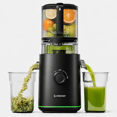 AMZCHEF Slow Juicer, 160 mm Filling Opening for Whole Fruits and Vegetables | 2.5 L cold press juicer for fresh juices, sorbet and nut milk, high juice yield, quiet, easy to clean, matte black