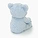 GUND Baby Peek-A-Boo My 1st Teddy Blue Bear Animated Plush Stuffed Animal, 11.5