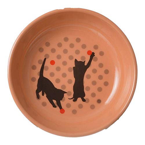 ecoware cat dish