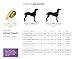 RC Pet Products Price Incorrect Cartoon pet coats, Rubber Ducky, XXL US