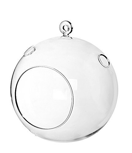 6 Bulk 4” Round Glass Decorative Hanging Craft Balls/Terrarium