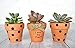 My Urban Crafts 40 Pcs Small Mini Clay Pots 2.1 inch Mini Terracotta Pots Clay Ceramic Pottery Planter Cactus Flower Pots Succulent Nursery Pots for Indoor/Outdoor Mini Plant, Crafts, Wedding Favors