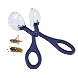 Lychee Spider Insect Bug Catcher Clip Catch and Release Home Tool Children Toy