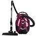 Bissell Zing Bagged Canister Vacuum, Maroon, 4122 - Corded,Maroon Bagged