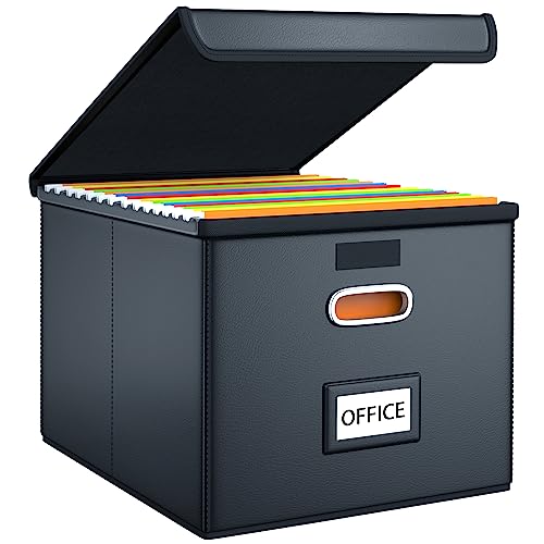 Huolewa Upgraded File Organizer Box with Lid, Collapsible Faux Leather Hanging File Folder Box