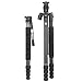 Sirui N-3204X Carbon Fiber N Series 4 Section Tripod Legs 69.7