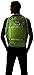Osprey Porter Travel Backpack Bag, Nitro Green, 46-Liter