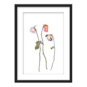 Framed Wall Art - Dried Roses - Giclee Printed Art in Black Picture Frames White Matting - 23x31 inches