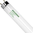 LEDVANCE FO32/850/ECO (12 Pack) - 32 Watt T8 Fluorescent Tube Light Bulb F32T8 32W 5000K