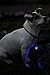 K9konnection Flashing LED Safety Lights for Dogs & Cats with On/Off Switch (2-Pack) | Attachable to Leash or Collar with Clip On Hook | Superior Visibility for Night Walks