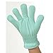 Casabella 11306 Microfiber Window Blind Glove, Mint (8x10)
