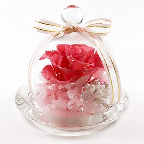 カーネーション プリザーブドフラワー 評価 ガラスドーム ギフト ガラス ドーム ガラスケース プレゼント 花 誕生日 お祝い バラ 仏花 ムーンダスト アレンジメント 枯れない ピンク プリザーブド お供え お誕生日