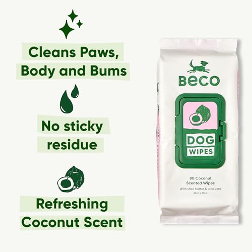 Beco Dog Wipes - 1 Pack of 80, Coconut Scented, For Paws, Body and Bum, Plant-Based Grooming Wipes