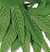 Tropical Fern Leaf Wristlet/Anklet 10