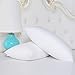 Topsleepy Goose Down and Feather Filling Queen Bed Pillows, 2-Pack, Cotton Cover, 300 TC,Queen/Standard Size