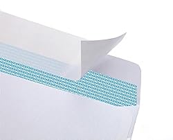 500#8 Double Window Self Seal Security Envelopes