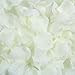 BESKIT Artificial Silk Rose Petals for Romantic Night, Wedding, Party, Anniversary Flower Decorations (Ivory White, 3000 PCS)