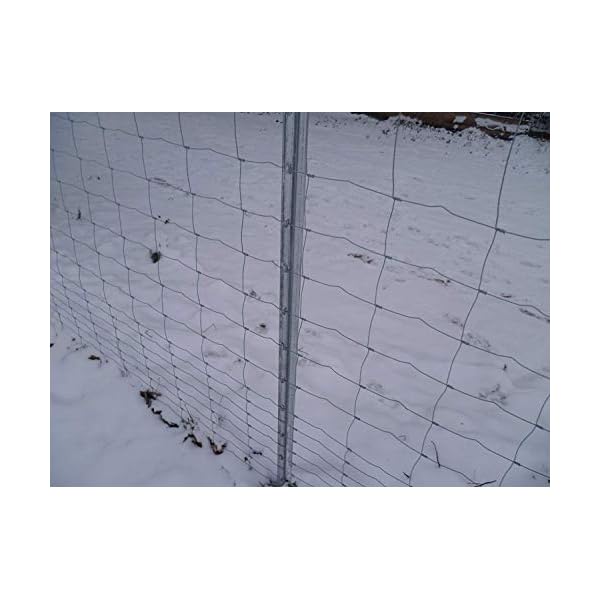 Aquagart Wildzaun-Set Komplettpaket I 250 m Wildschutzzaun 160/20/15 Z-Proï¬l Zaunpfosten Spanndraht Drahtspanner I Forstzaun aus Stahldraht fÃ¼r Forstwirtschaft und Landwirtschaft I Einfache Montage – Bild 6