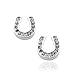 Spinningdaisy Silver Plated Crystal Lucky Horseshoe Earrings