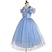 Dressy Daisy Girls' Princess Dress Costume Christmas Halloween Fancy Dresses Up Butterfly Size 4T Blue
