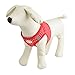 BINGPET BB5004 Polka Dot Soft Vest Dog Puppy Pet Harness Adjustable - Red