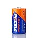 6 X AM-1 MN1300 LR20 D Alkaline Battery D Size 1800min