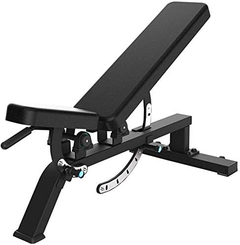LAMTON Dumbbell bench Multifunctional Adjustable Dumbbell Stool Training Bench Workout Bench Abdominal Muscle Board Weightlifting dumbbell training