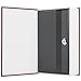 Readaeer Dictionary Diversion Secret Book Safe Portable Travel Box with Key Lock Steel Large-Red