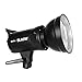 Godox SL-60W 60W CRI95+ White Version LED Video Light,5600±300K Continuous Output Lighting with Bowens Mount &Wireless Remote for Video Recording,Children Photography,Wedding,Outdoor Shooting (110V)