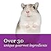 F.M. Brown's Tropical Carnival, Natural Hamster-Gerbil Food, Vitamin-Nutrient Fortified Daily Diet, NO Filler Seeds, NO Artificial Colors or Flavors, 2 lb
