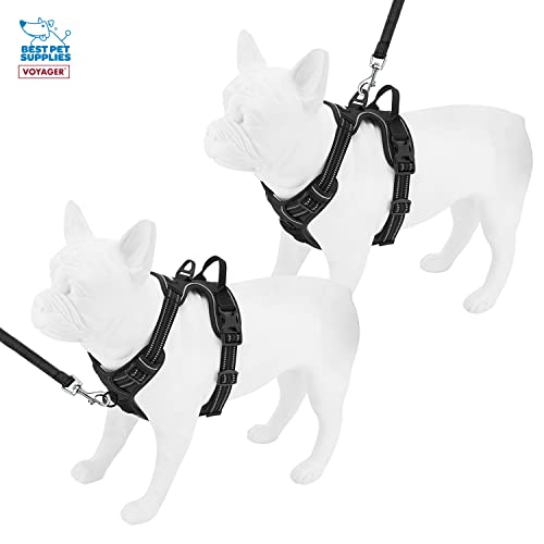 Voyager Dog Harness Dual Leash Attachment NoPull Control Adjustable