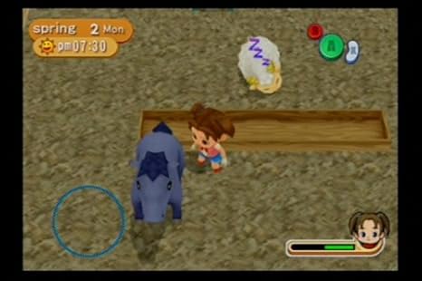 harvest moon magical melody nintendo switch