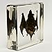 Real Bat in Acrylic Block - Small