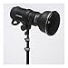 Profoto Grid Kit for Zoom Reflector 2