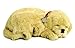 Perfect Petzzz Golden Retriever Plush with Blue Tote For Plush Breathing Pet and Dog Food, Treats, and Chew Toy