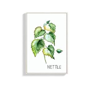 Framed Canvas Wall Art for Living Room, Bedroom Nettle Canvas Prints for Home Decoration Ready to Hang - 16x24 inches