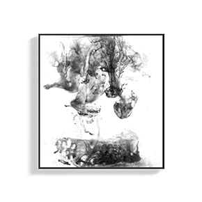 Canvas Wall Art for Living Room, Bedroom Style Framed Canvas Prints for Home Decoration Ready to Hang - 16x16 inches