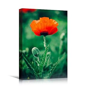 signwin Canvas Wall Art Red Fields Bohemian Colorful...