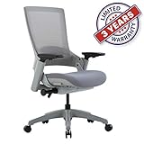 Ergonomic High Swivel Executive Chair with Adjustable Height 3D Arm Rest Lumbar Support and Mesh Back for Home Office (Gray)