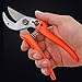 Flame bird Professional Bypass Pruning Shears,Anvil Pruner, Pruning Shears,Hand pruners,pruners for Garden, Garden Clippers,Fruit Tree Shears,Rose Pruning Shearsthumb 4