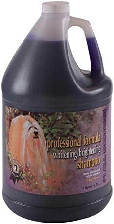cat grooming shampoo