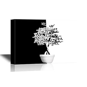 Bonsai Bonsai Art in Black and White