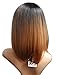 Tsnomore Ombre Shoulder Length Bob Women Wig