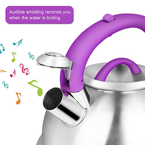 Tea Kettles Stovetop, Tea Pots for Stove Top, Food Grade Stainless Steel Whistling Tea Kettle