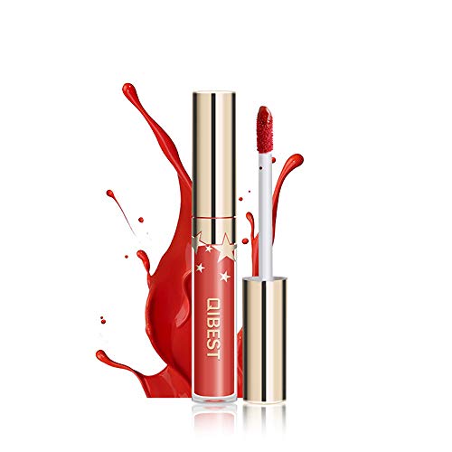 Matte Nude Lipstick Set, Christmas gift box, 10 Colors Waterproof Long Lasting Lip Gloss Non-Stick Cup Liquid Velvety Lipstick Set (10-1)