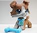 LPSOLD LPS Collie 67 Grey and White Blue Eyes Dog with Accessories Action Cartoon Figure Collection Boy Girl Kid Gift (lps 67)