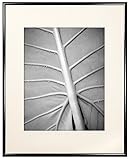 MCS Aluminum Gallery Frame 12 by 16-inch with Mat Opening to fit 8 by 12-Inch photo, Black (65596)