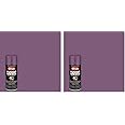 Krylon K02709007 Fusion All-In-One Spray Paint for Indoor/Outdoor Use, Gloss Icy Grape Purple, 12 Ounce (Pack of 2)