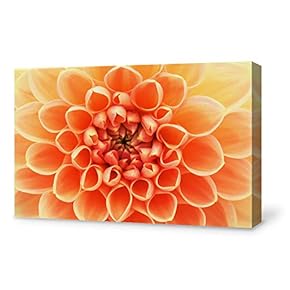 Canvas Wall Art for Living Room,Bedroom Home Artwork Paintings Close-up of Flower Ready to Hang - 12x18 inches